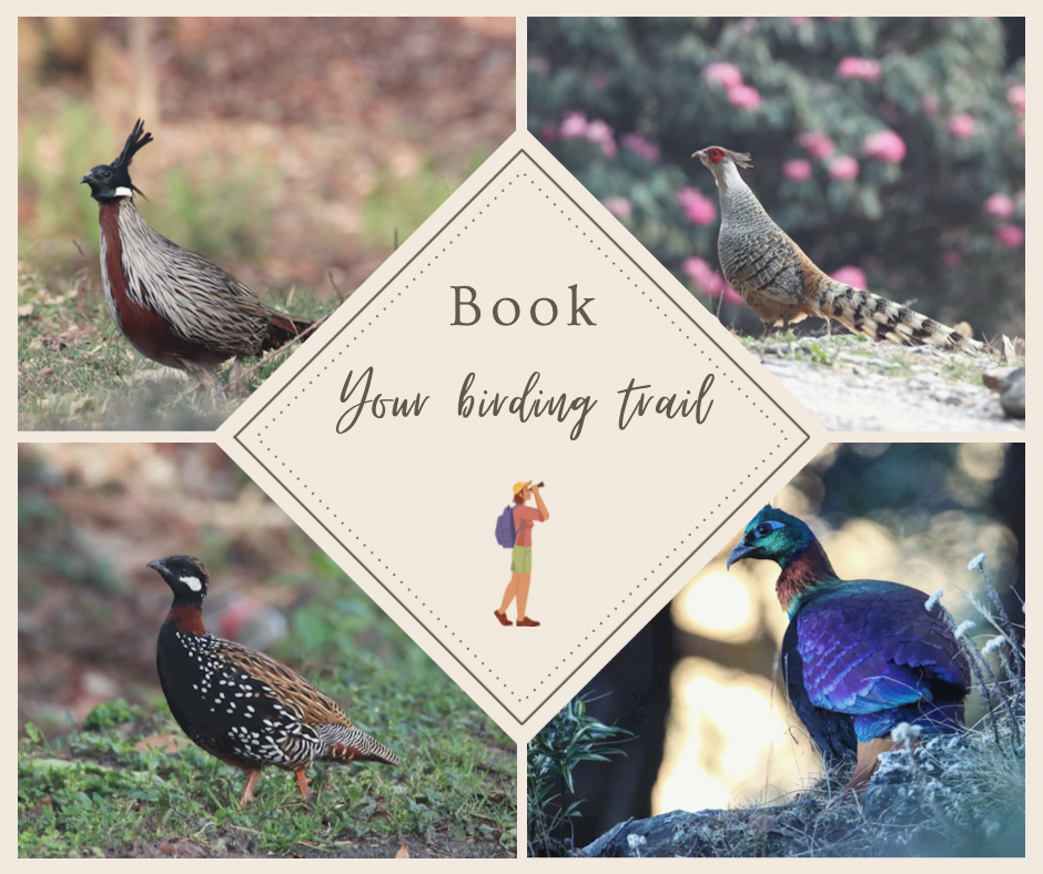 Book Birding trail in eco park, munsyari